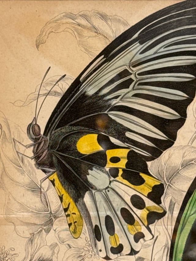 アンティーク品