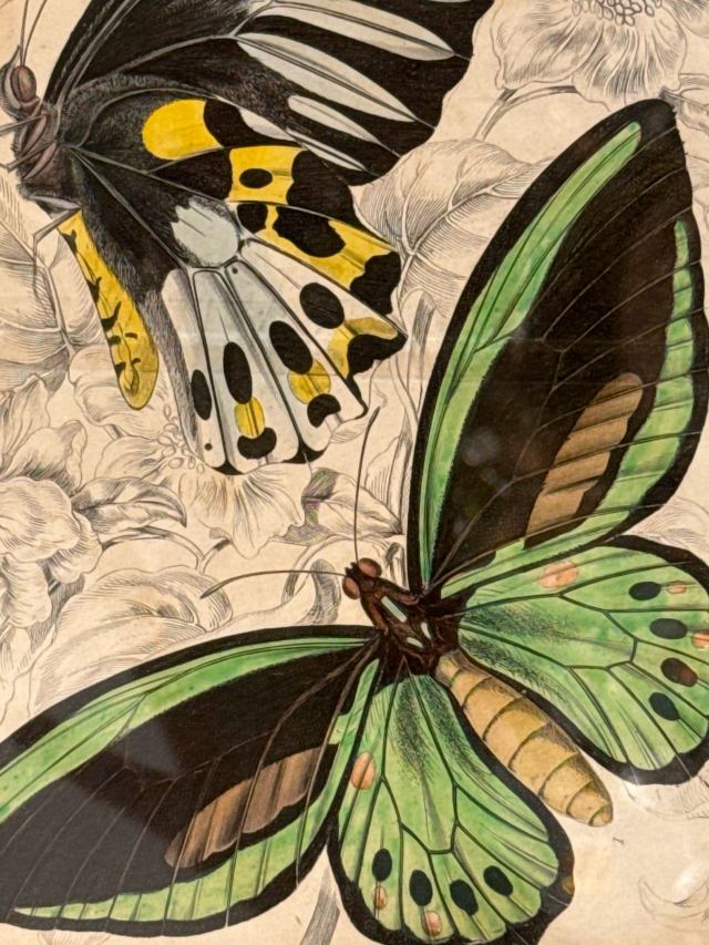 アンティーク品