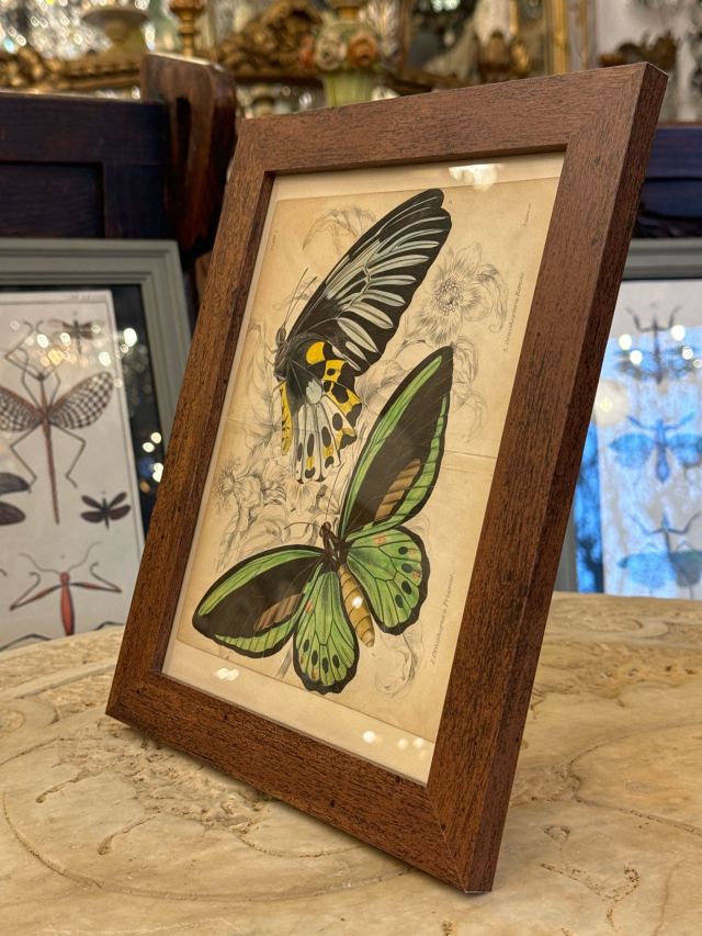 アンティーク品