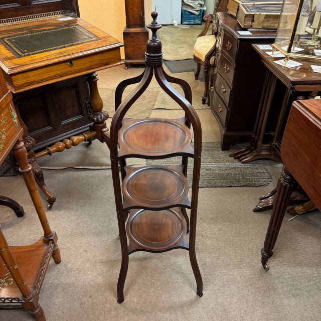 1880年代マホガニー材美しい花模様の椅子 イギリスアンティーク