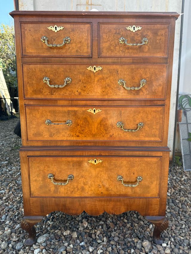 1930年代 ウォールナット チェスト