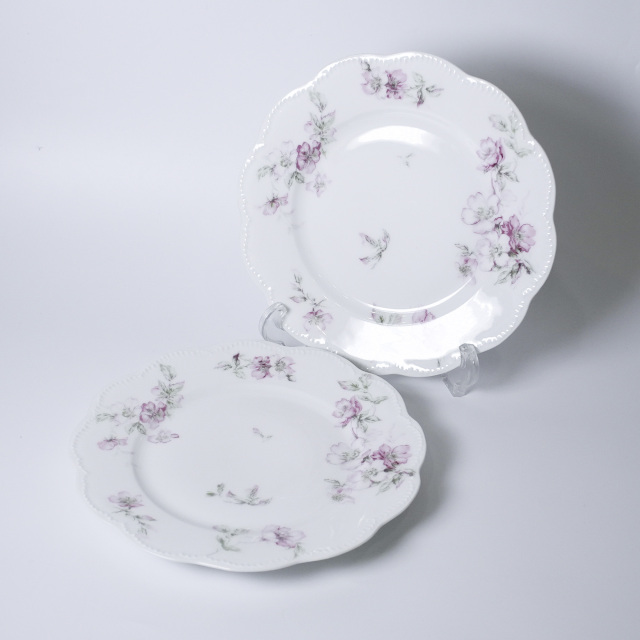 フランス 1890年代 Limoges Haviland リモージュアビラント プレート２枚 UR-111