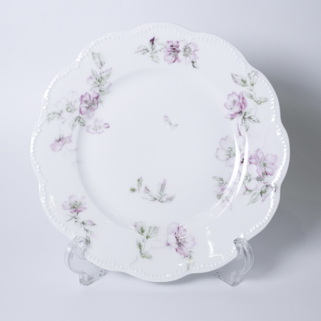 フランス 1890年代 Limoges Haviland リモージュアビラント プレート２枚 UR-111