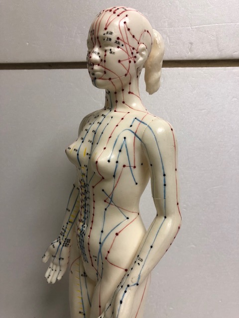 大型☆女性☆ポニーテール☆模型☆人形 ボディ ４８．０ｃｍ ８３５ｇ 当時物 ヌード セクシー 詳細不明 現状 【AT803】