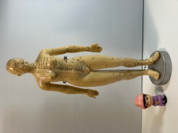 大型☆女性☆模型☆人形☆裸婦☆ボディ ４４．０ｃｍ ４７０ｇ 当時物 ヌード セクシー 現状 詳細不明 【RT0418】