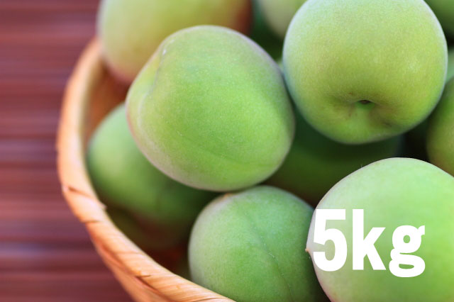 青梅(南高梅)5kg