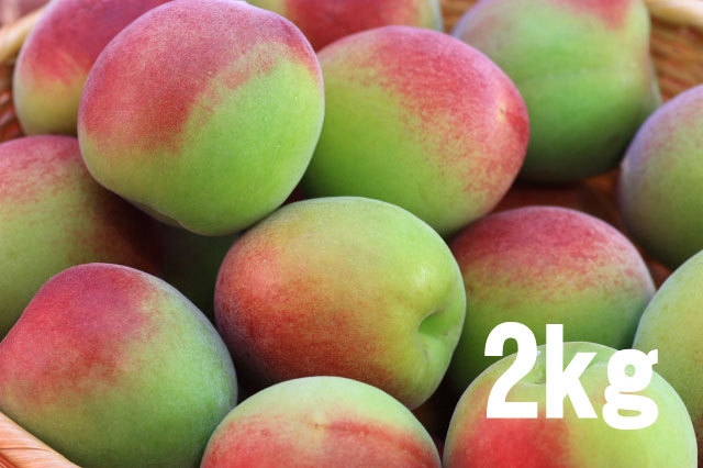 紅南高梅(南高梅)2kg
