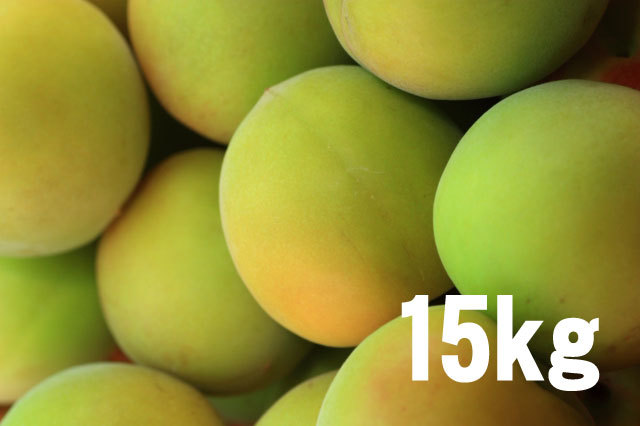 手もぎ完熟梅(南高梅)15kg