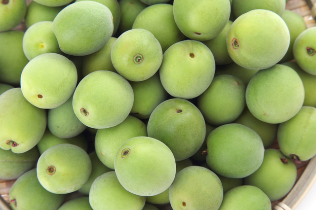 紀州青梅 小粒SMサイズ　５ｋｇ　 梅酒・梅シロップ用　送料無料！