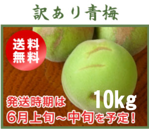 訳あり青梅(南高梅)10kg