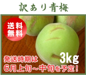 訳あり青梅(南高梅)3kg
