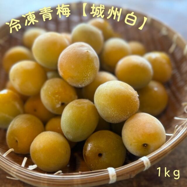 京都青谷産 城州白 冷凍青梅 約1kg 青梅 産地直送 取り寄せ シロップ