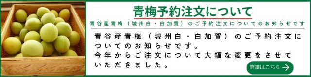 2026年青梅説明バナー01