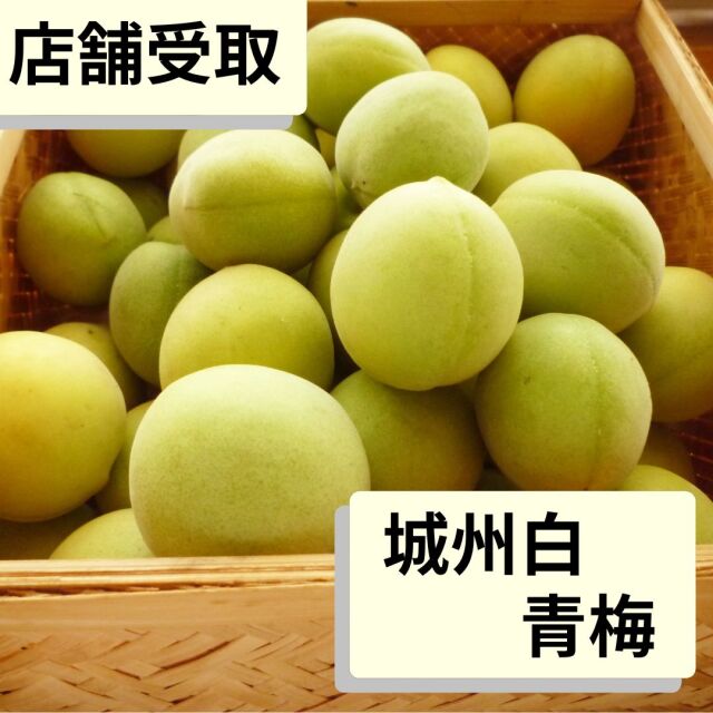 青梅