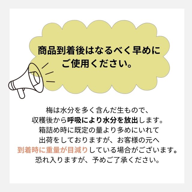 予約販売【京都青谷梅工房】京都青梅産 青梅 ”城州白”
