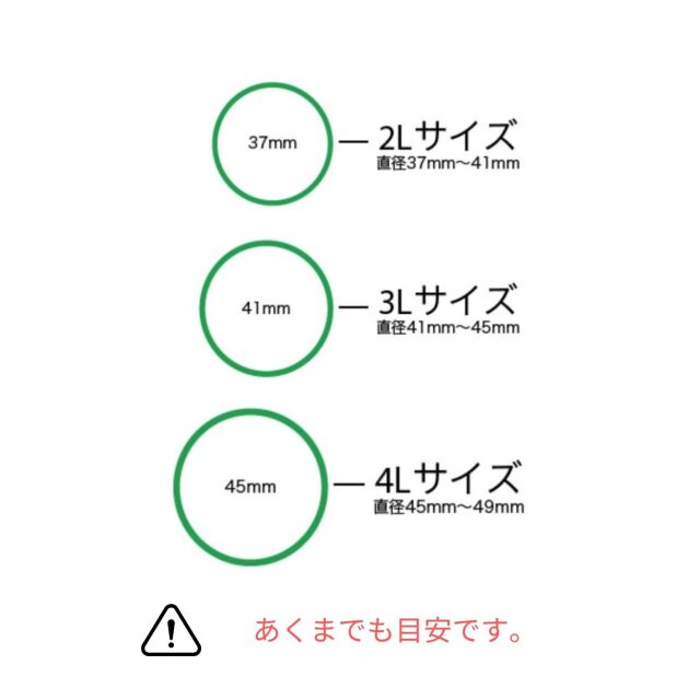 予約販売【京都青谷梅工房】京都青梅産 青梅 ”城州白”