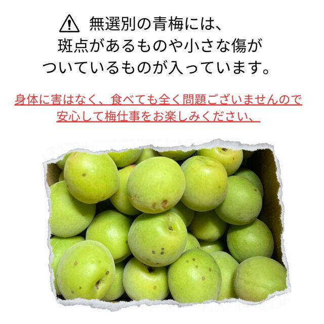 青梅