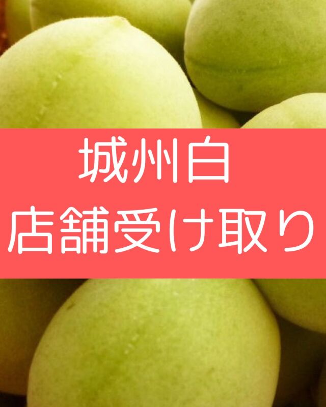 【城州白】2026年青梅予約販売【店舗受取】　