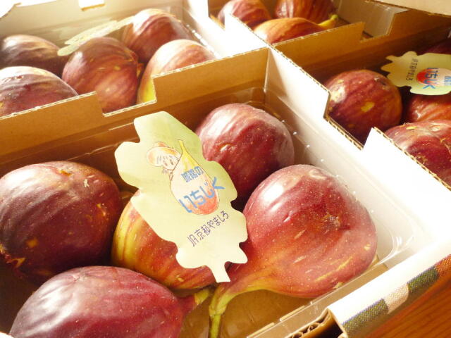 いちじくの箱詰めの写真