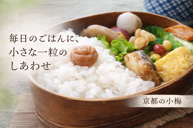 小梅のイメージ画像