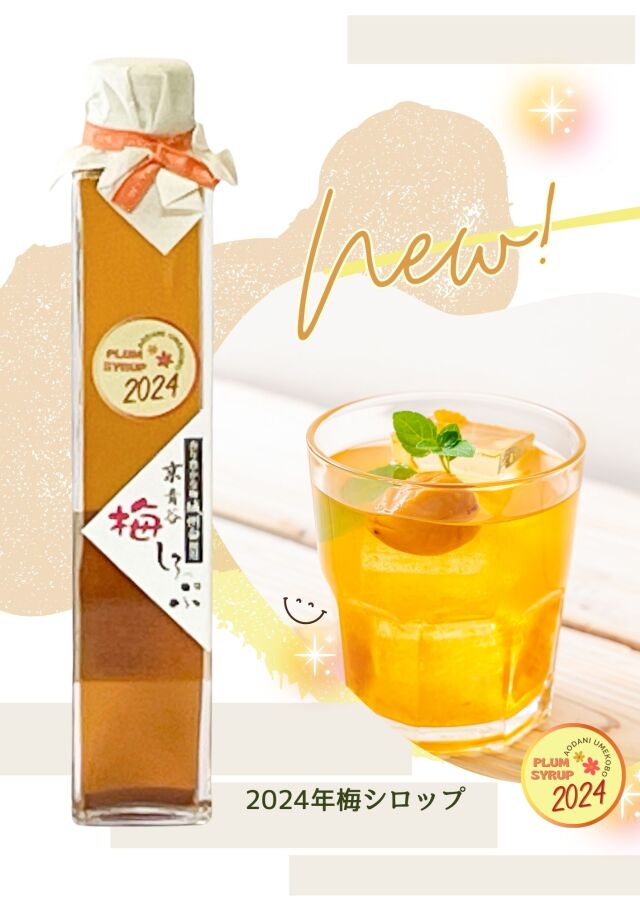 24年梅シロップ