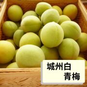商品一覧