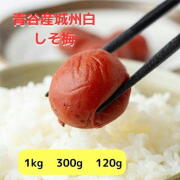 予約販売【京都青谷梅工房】京都青梅産 青梅 ”城州白”