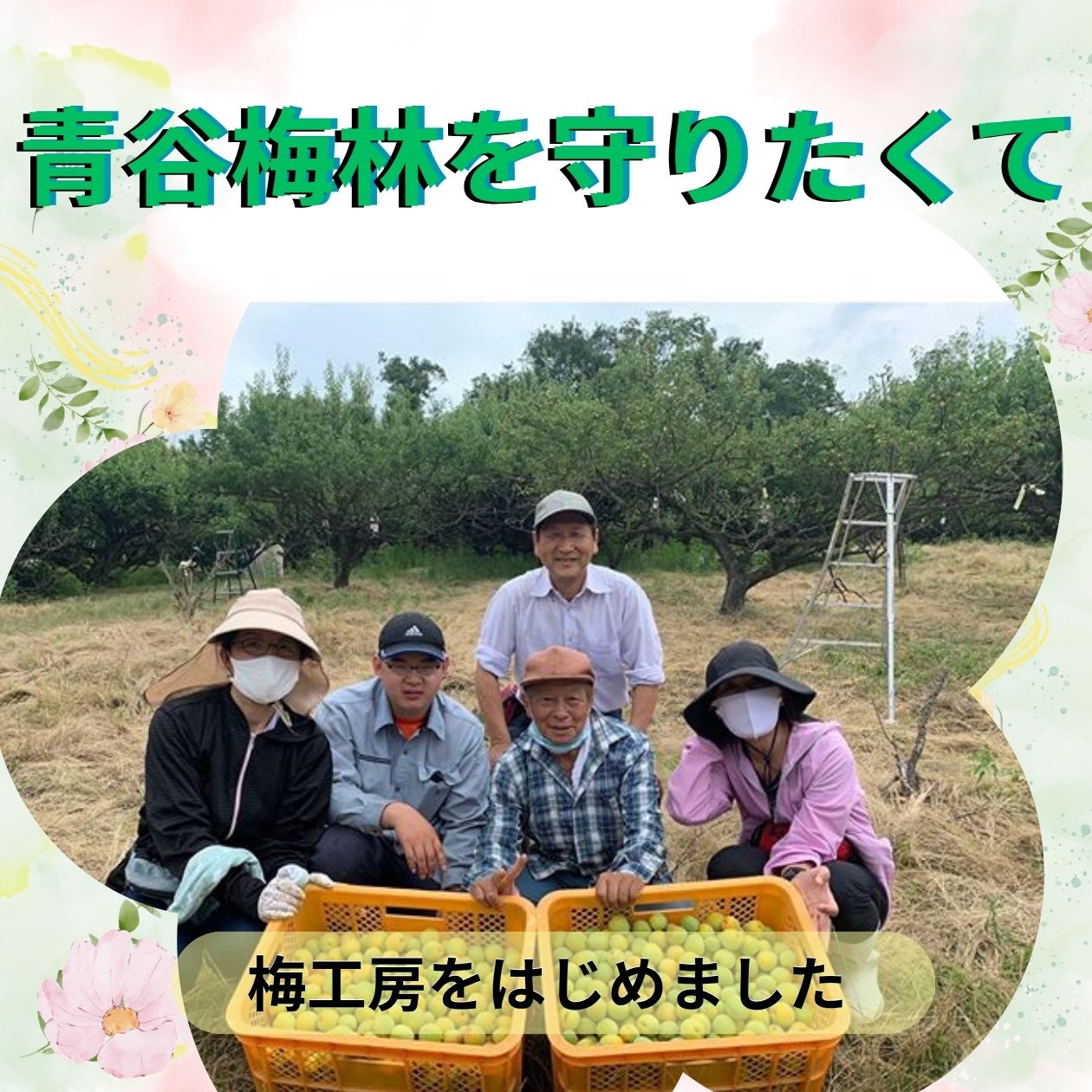 青谷 梅 工房