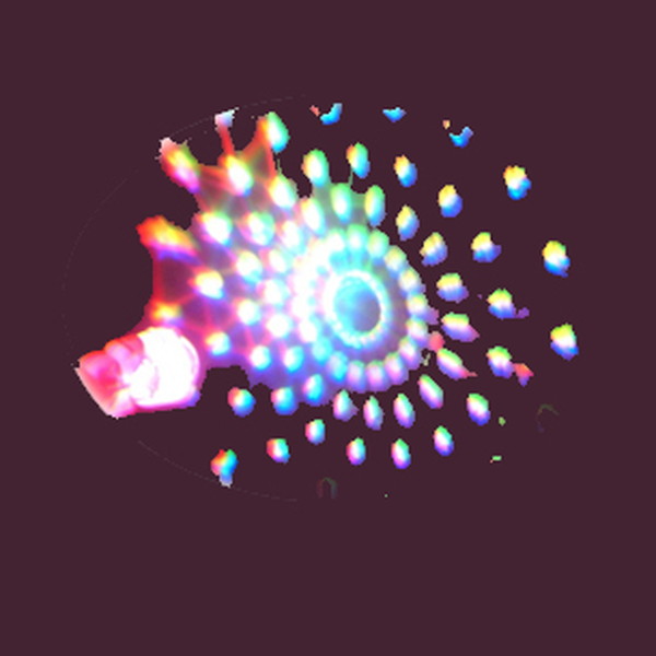 光るフラワーミラーボール １２入