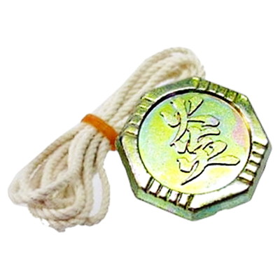 超合金 バイゴマ ２０入