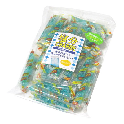 塩分チャージゼリー 塩サイダー味 500ｇ