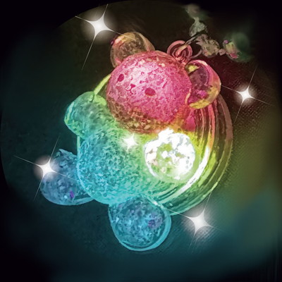 光る！きらめきペンダント １２入