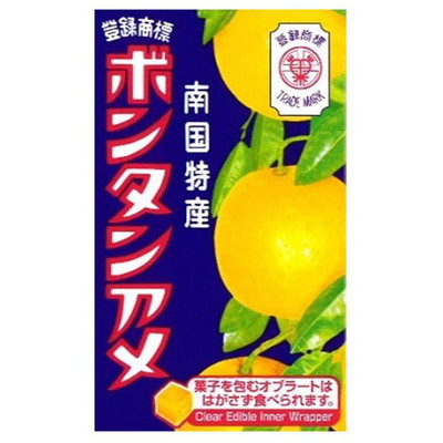 ボンタンアメ１４粒 １０入