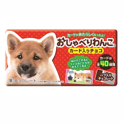 駄菓子 通販】おしゃべりわんこ クランチチョコレート（株式会社正栄