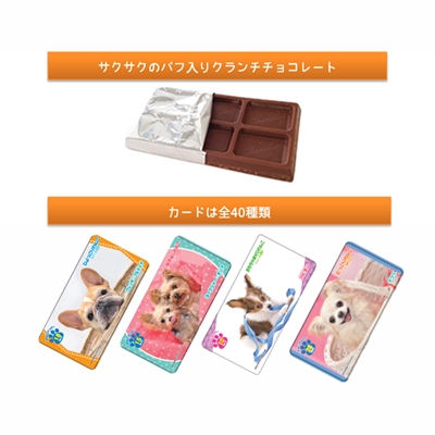 駄菓子 通販】おしゃべりわんこ クランチチョコレート（株式会社正栄