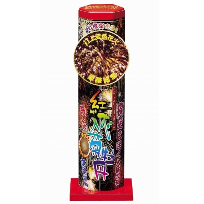 紅芯入菊牡丹 【送料サービス対象外商品】