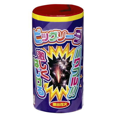ビックソーダ 【送料サービス対象外商品】