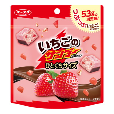 いちごのサンダーひとくちサイズ パウチ １０入