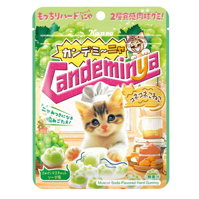 カンデミーニャグミ コネコネこねこ ６入