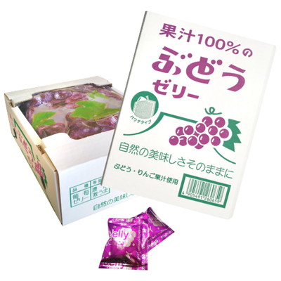 果汁100％ゼリーＢＯＸパウチ ぶどう味 ２０個入
