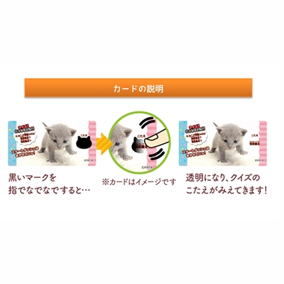 駄菓子 通販】きまぐれねこにゃん クランチチョコレート（株式会社正栄