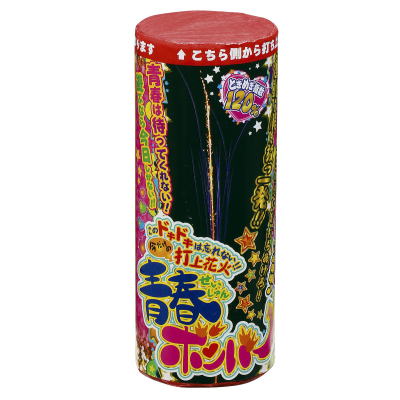 青春ボンバー 【送料サービス対象外商品】