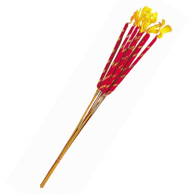 中露光 １００入 【送料サービス対象外商品】
