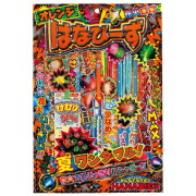 はなびーずL １枚 【送料サービス対象外商品】