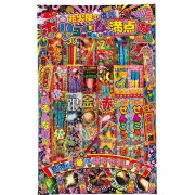 花火屋の本気 ボリューム満点な花火 １枚 【送料サービス対象外商品】