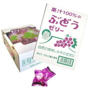 果汁100％ゼリーＢＯＸパウチ ぶどう味 ２０個入