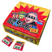 この人だ～れ！DX ４０入