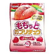 もちっとガブリチュウ甘熟もも味 １０入