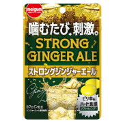 ストロングジンジャーエール １０入