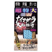 NEWナイヤガラ日本一
